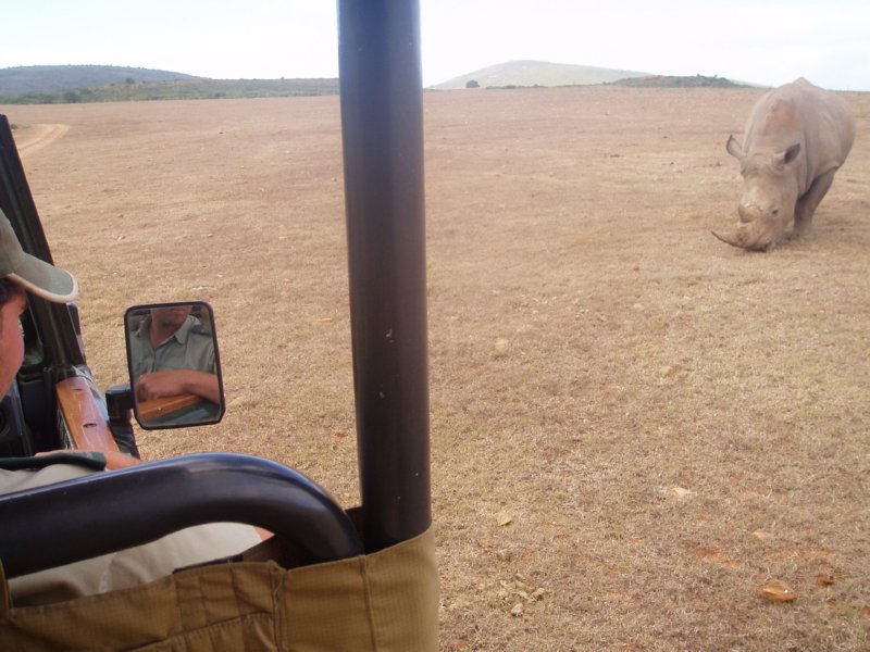 KeHa_in_South_Africa - 215